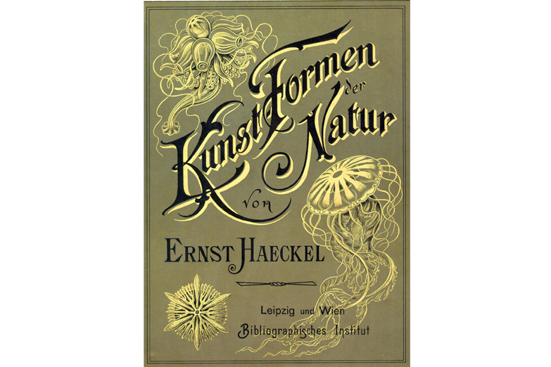 Comienza hoy la Feria del Libro Antiguo