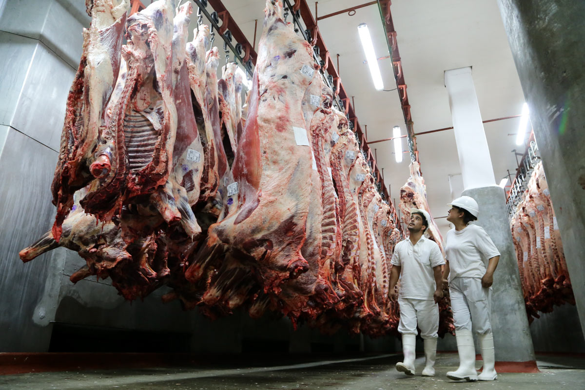 Empresas negocian apoyo de gobernadores para destrabar exportaciones de carne e insisten por rebajas tributarias