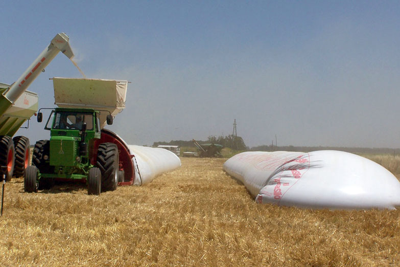 Agroexportadores obtienen cada vez más beneficios, pero rinden cada vez menos dólares