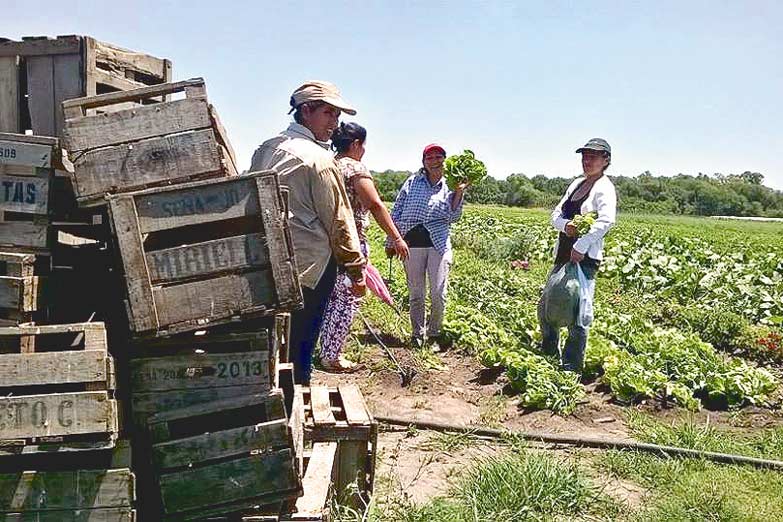 La UTT entrega 20 toneladas de verduras «a favor de las medidas redistributivas»