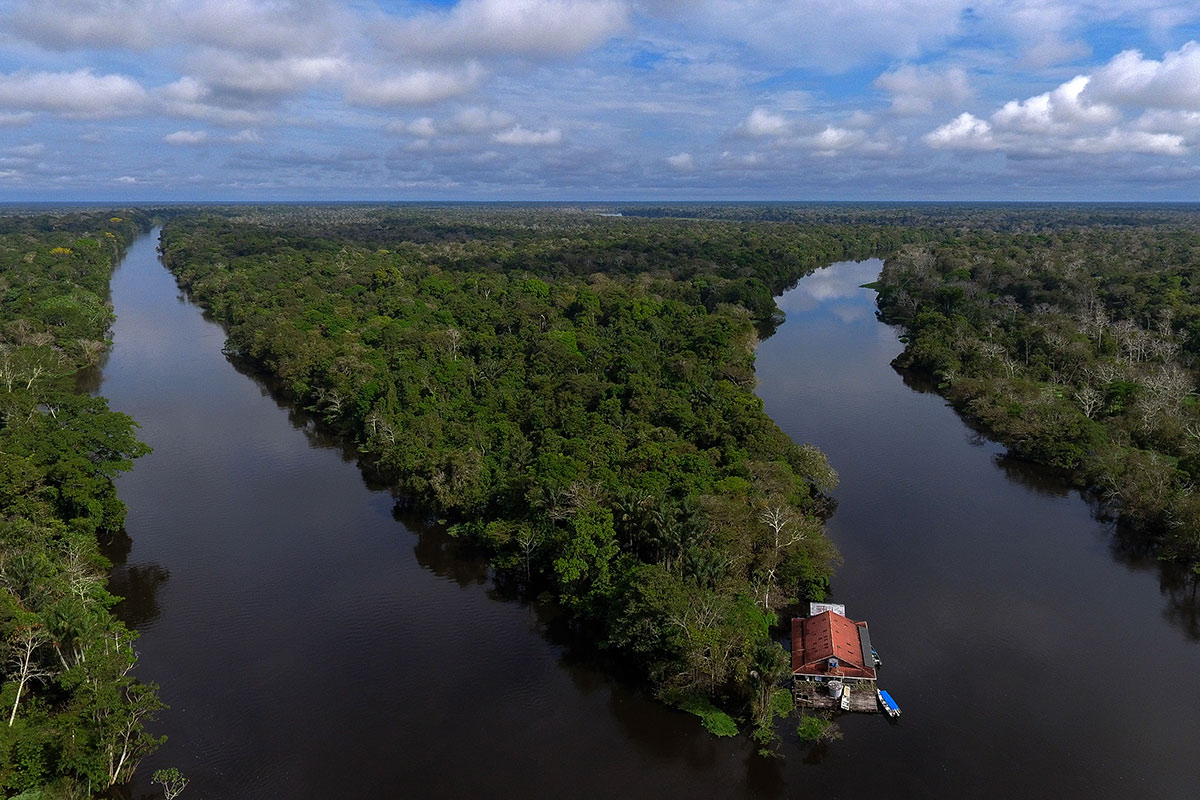 Los indígenas del Amazonas, cada vez en mayor peligro