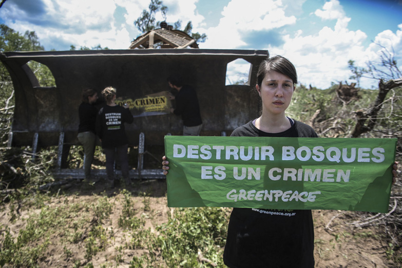 La familia Braun Peña insiste con el desmonte de bosques nativos