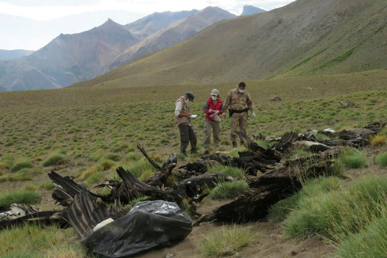«La muerte de 34 cóndores equivale a eliminar a la población argentina»