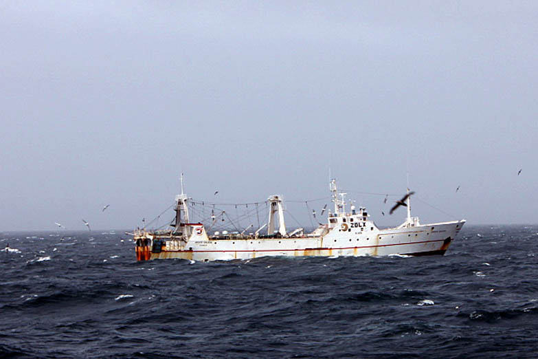 Pesca: obligado por la presión de los gobernadores, Milei acepta modificar artículos de la Ley Ómnibus