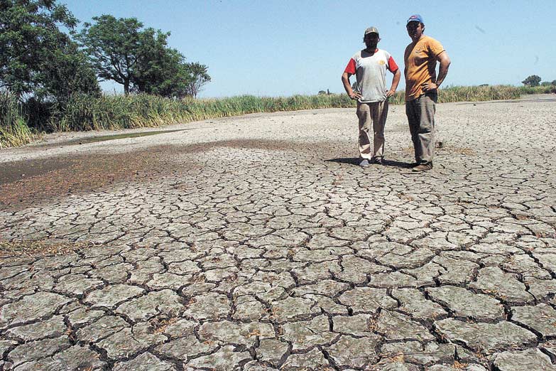 La sequía se lleva la lluvia de dólares que el gobierno esperaba del campo