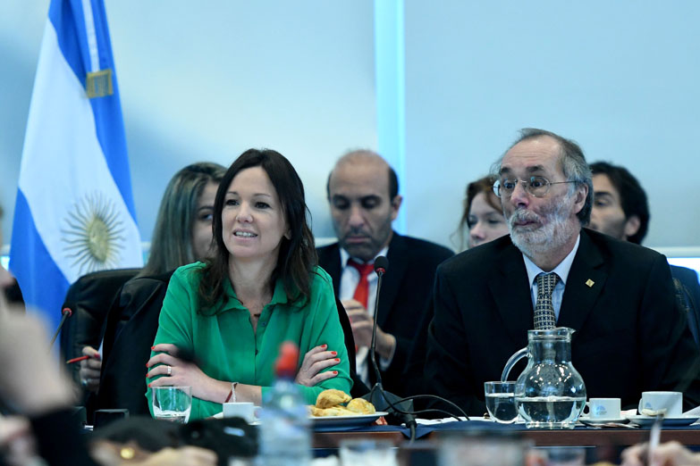 Comenzó a discutirse en Diputados el proyecto de urbanización de villas