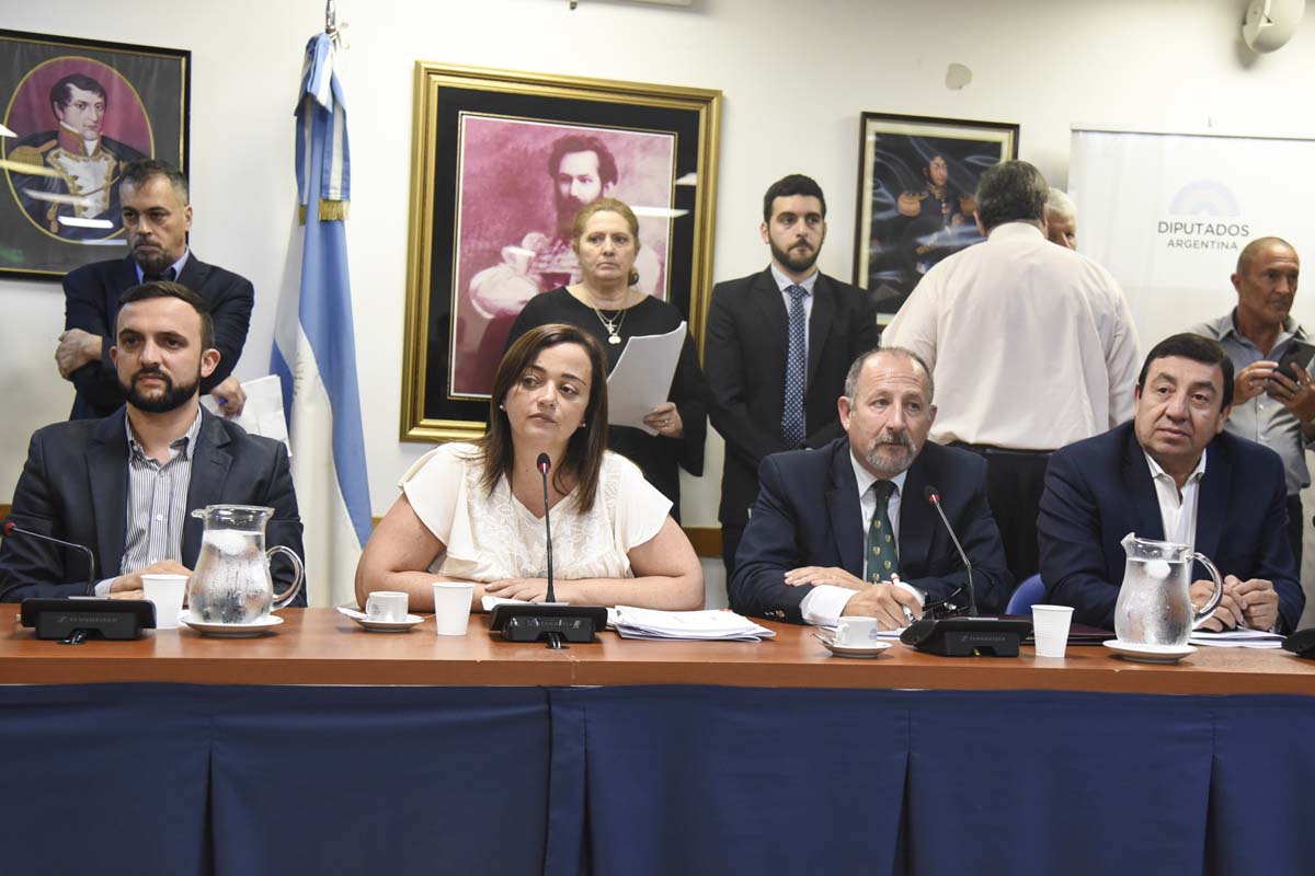 Vivo: los ministros defienden el megaproyecto de emergencia en comisiones