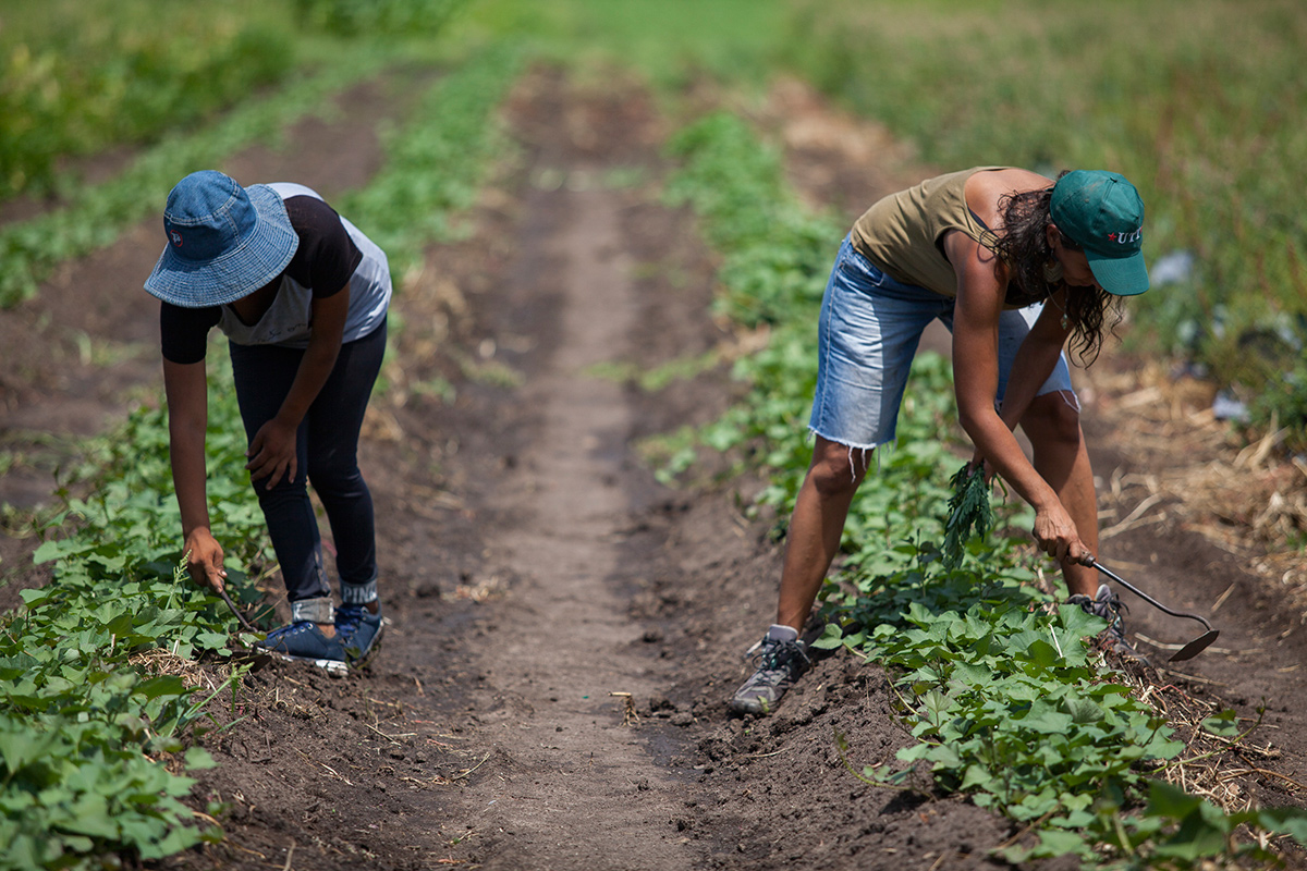 Avanza el modelo de las colonias agroecológicas