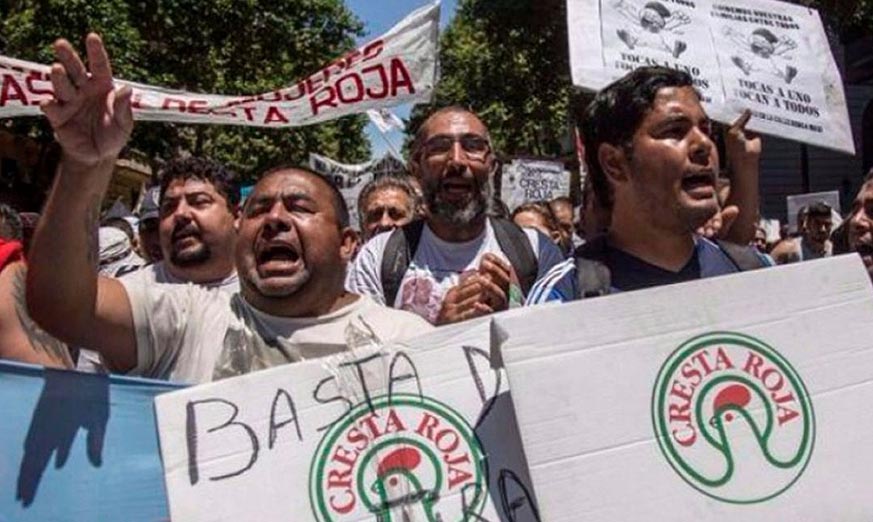 Cresta Roja: sigue el reclamo por la reincorporación de 2000 trabajadores despedidos