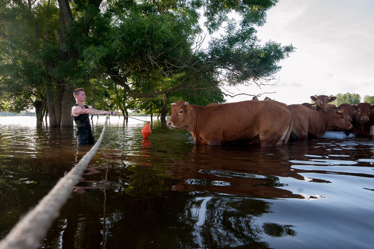 Inundaciones: evalúan que las pérdidas en la cosecha serán de más de 2300 millones de dólares