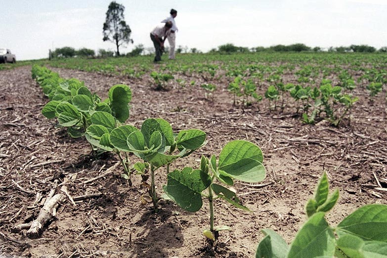 El gobierno oficializó la suba de retenciones a la soja para grandes productores