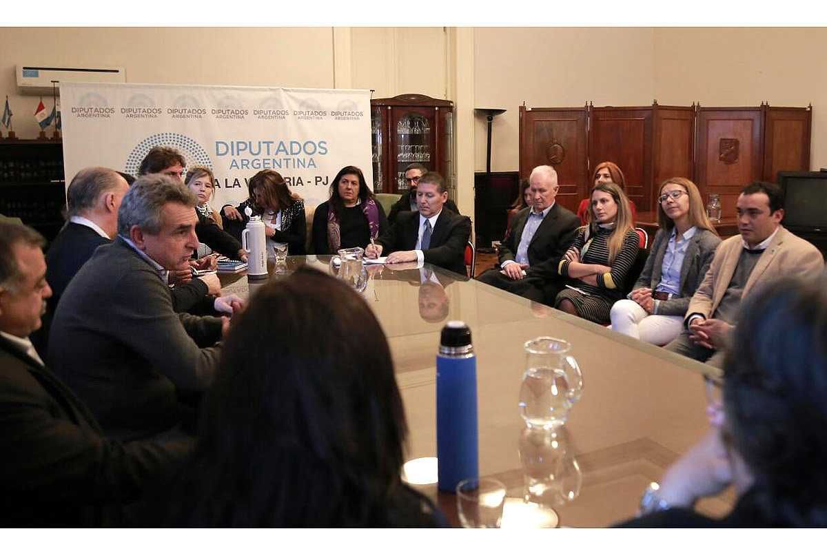 La oposición pide cuentas en el Congreso por la aplicación de la ley del arrepentido