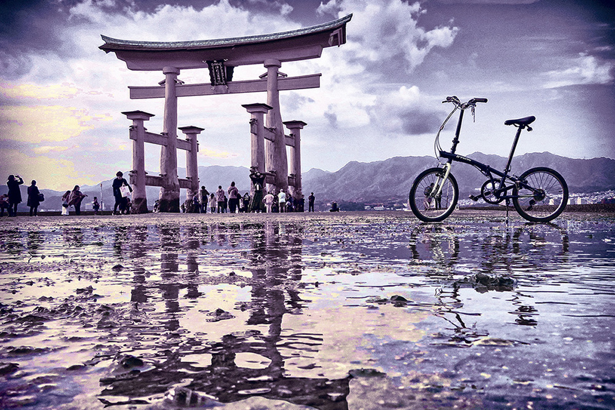 Floral Zu: «Hasta la bicicleta, siempre»