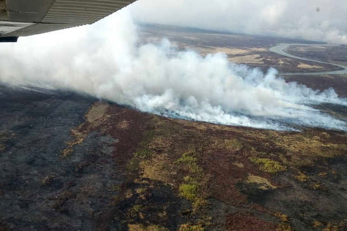 Incendios en el Paraná: Entre Ríos demandó a productores