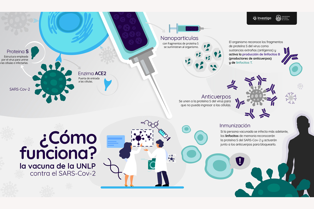 La Universidad Nacional de La Plata trabaja en el desarrollo de una vacuna contra el coronavirus