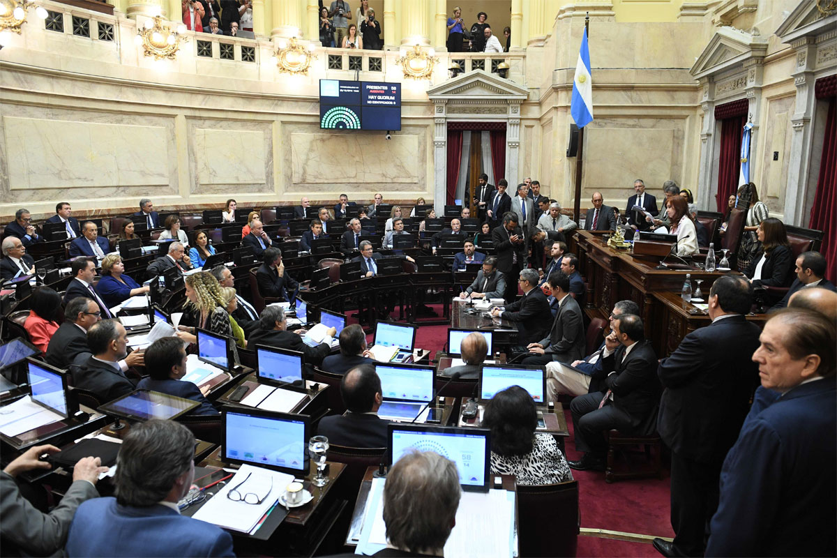 El Senado aprobó la ley de Solidaridad Social