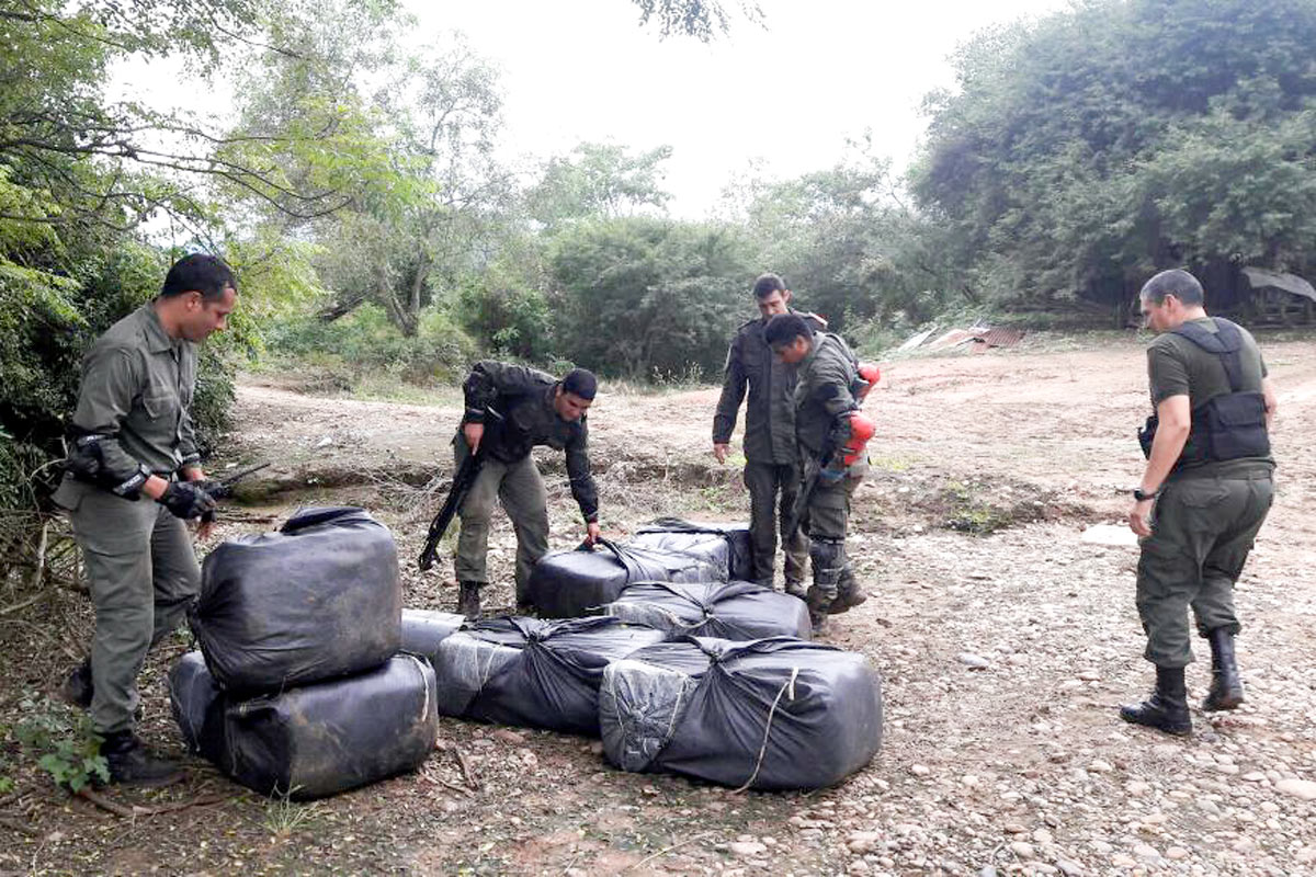Aunque no es delito, el gobierno impulsa el secuestro de hojas de coca y criminaliza su tenencia