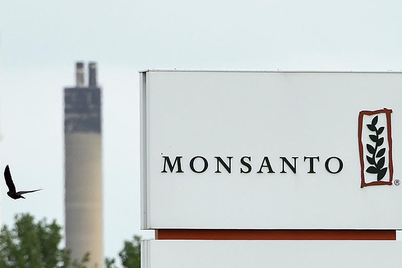 Una victoria en Río Cuarto: Monsanto bajó una demanda y no podrá instalarse en la ciudad