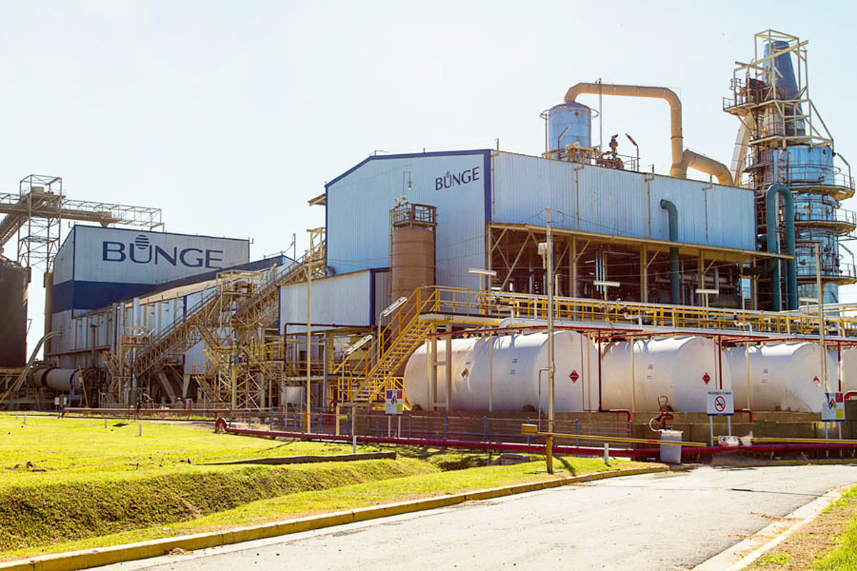 Despidos en Bunge, prólogo de un posible traslado a Brasil