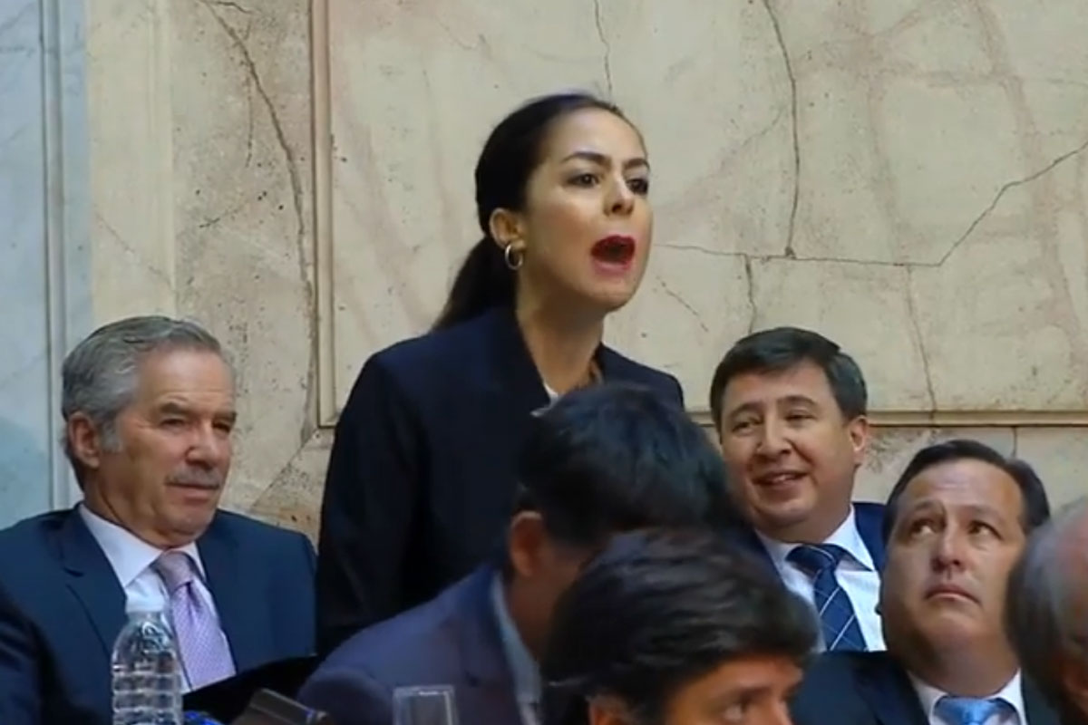 Joanna Picetti, la diputada de Cambiemos que no asumió y entró al recinto para increpar a Macri
