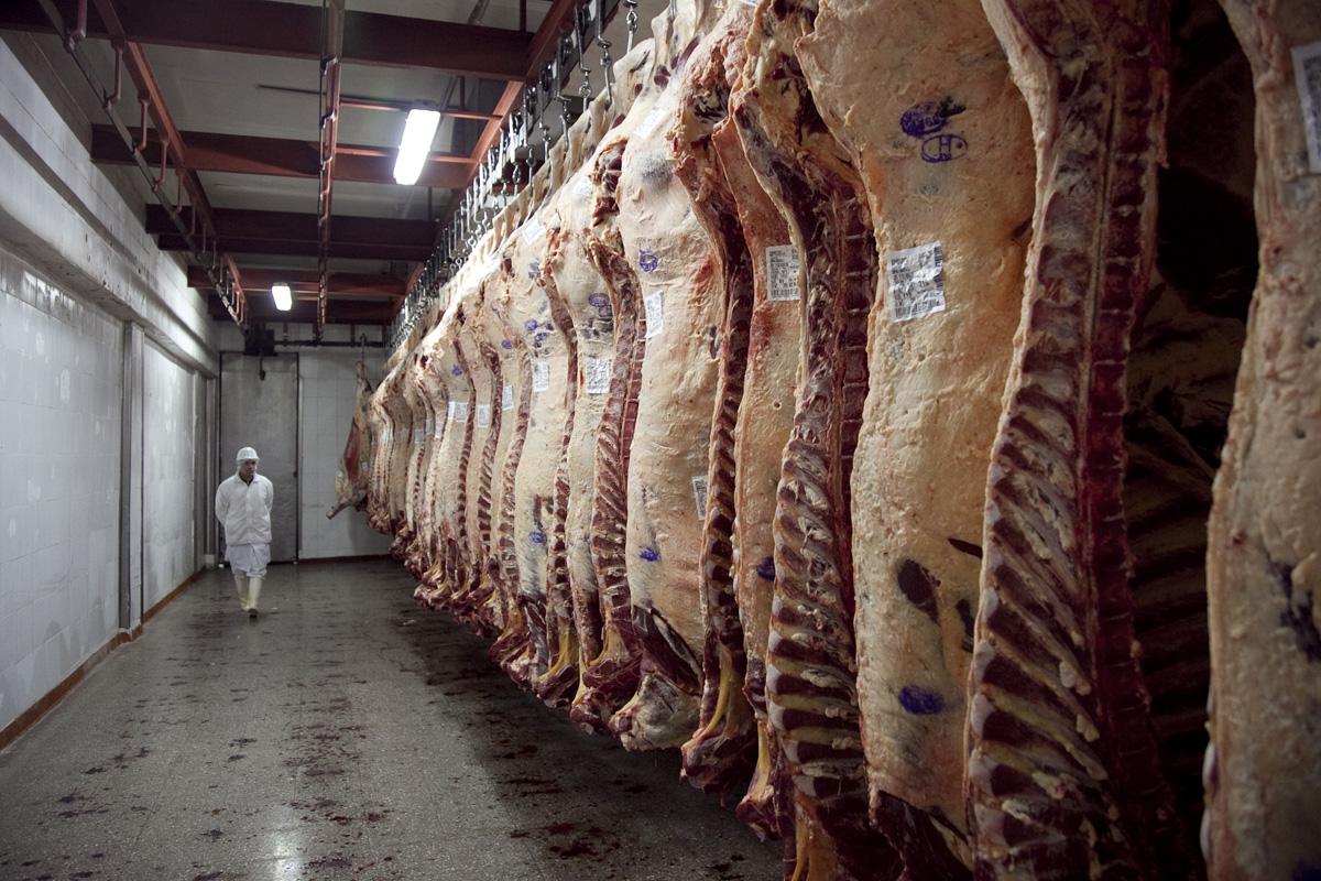Disponen normas complementarias para exportar carne al Reino Unido y la Unión Europea