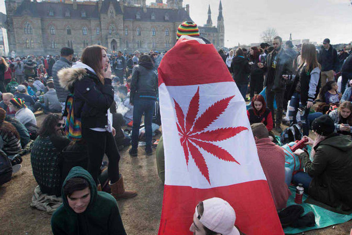 Canadá legalizó la marihuana para uso recreativo