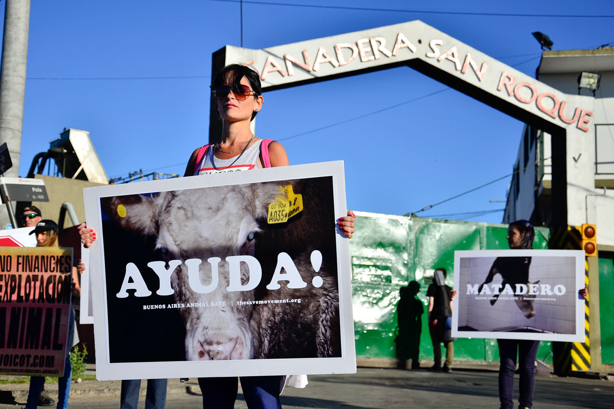 Carnívoros en la mira: el activismo vegano muestra los dientes