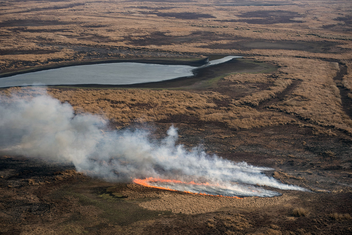 Siete procesamientos por los incendios descontrolados en el Delta del Paraná