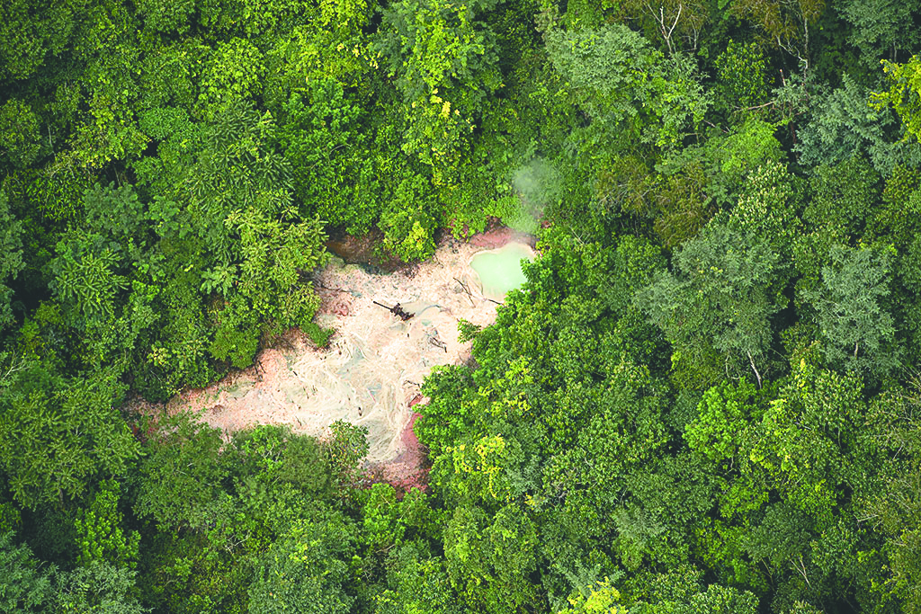 Alerta por la desafectación de 1000 hectáreas de un Parque Nacional en Jujuy