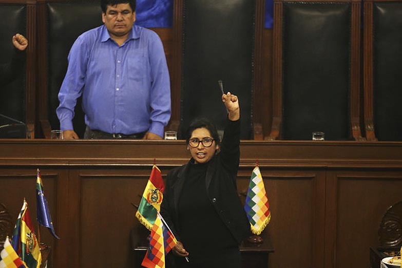 El MAS también designó autoridades en el Senado y pidió respeto para los pueblos originarios