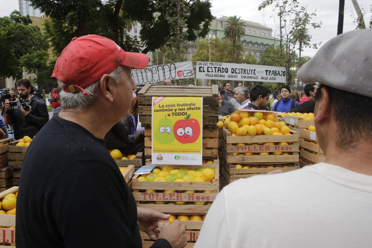 Regalaron 20 toneladas de fruta en Plaza de Mayo y hubo varias cuadras de cola