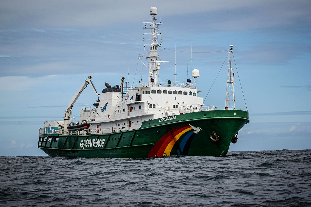 Del Ártico hasta la Antártida: Greenpeace recorre el mundo para denunciar la industria pesquera