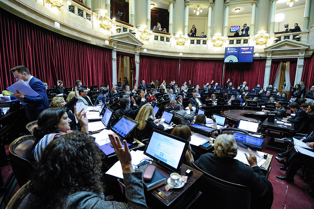 El Senado aprobó la Ley Micaela