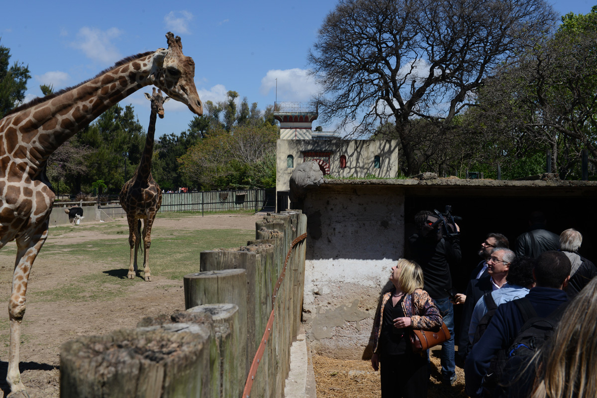 Primer paso para la concesión a privados del Zoológico