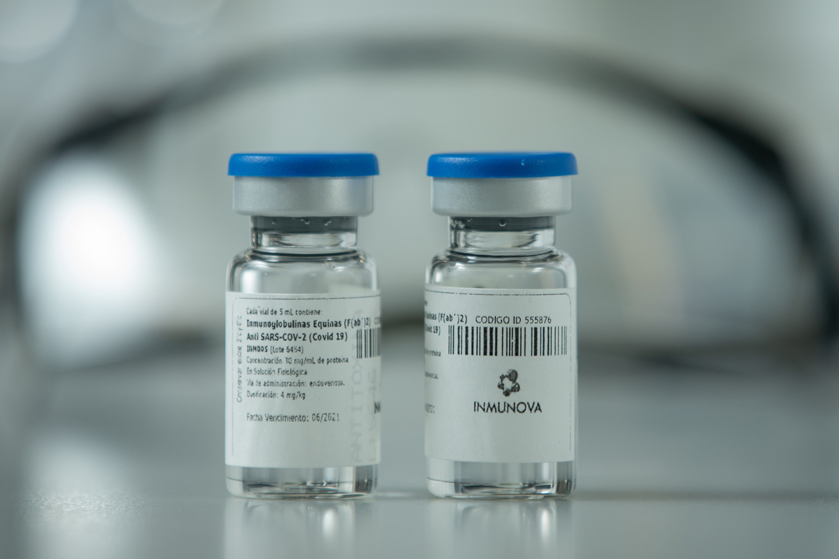 Investigadores argentinos desarrollaron un suero terapéutico que neutraliza el Covid-19