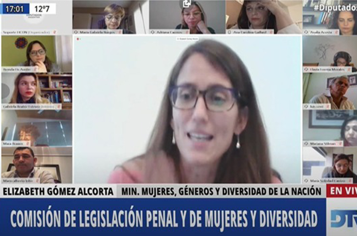 Gómez Alcorta les pidió a los diputados que piensen el derecho penal como “reproductor de desigualdad”