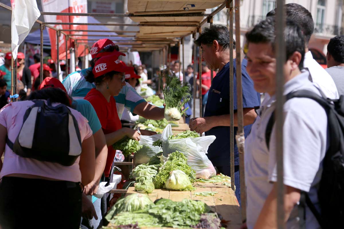 Feriazos en todo el país: protesta de los trabajadores de la agricultura familiar