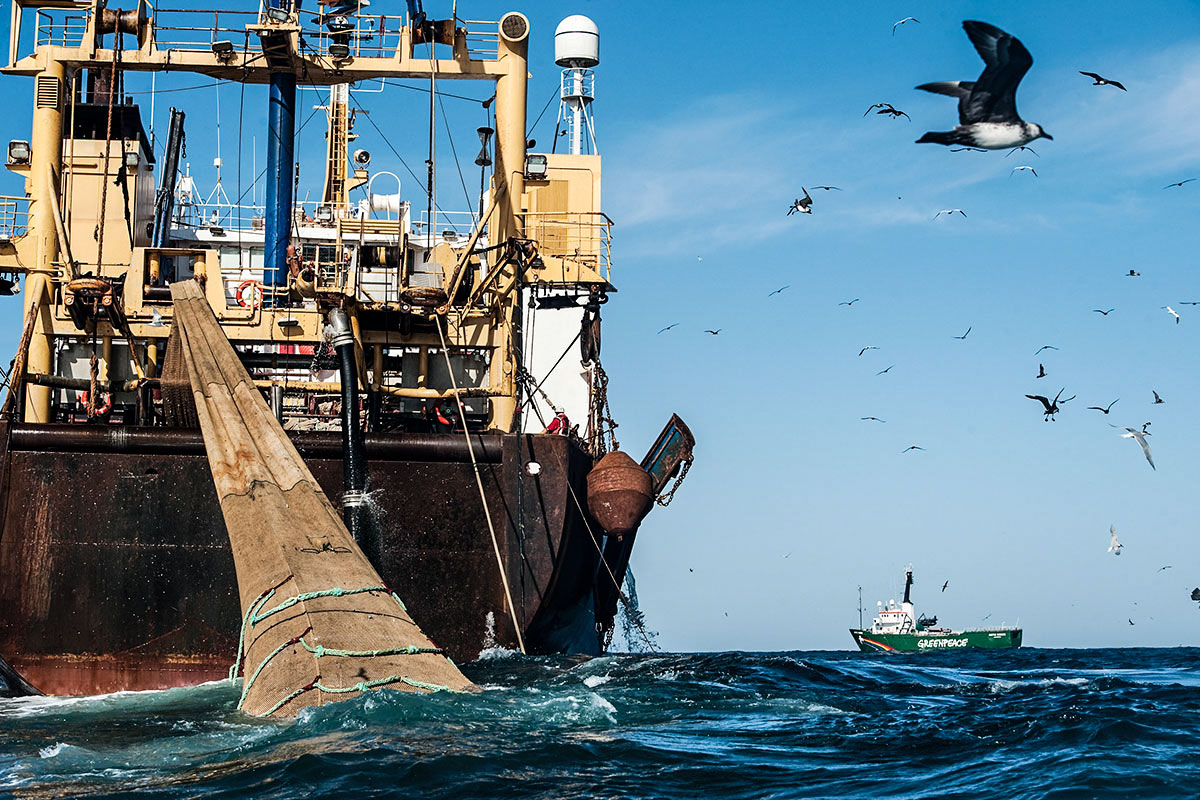 La pesca ilegal alrededor de Malvinas