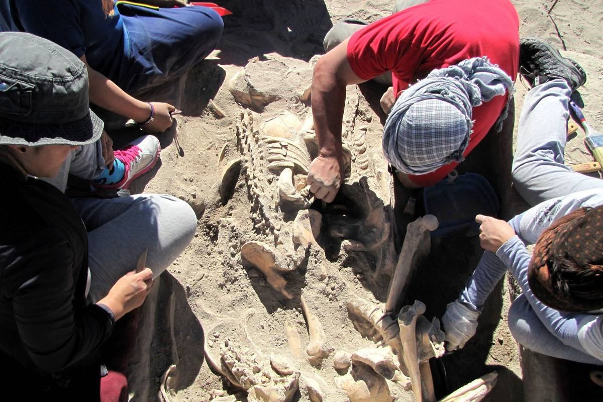 Hay 600 cuerpos de víctimas de la dictadura para ser identificados