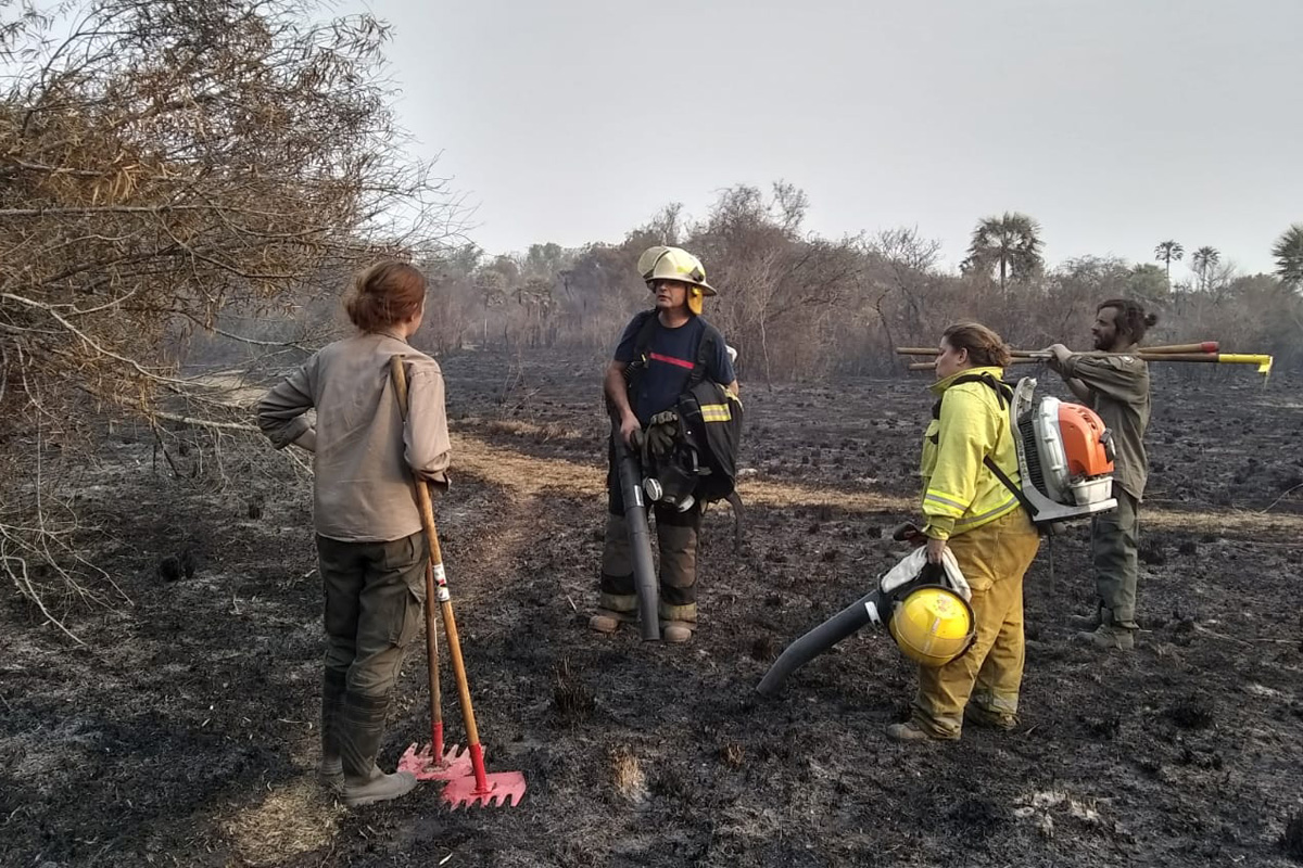 Incendios en Corrientes destruyeron un parque provincial: “El lobby del agronegocio nos va a dejar sin planeta”