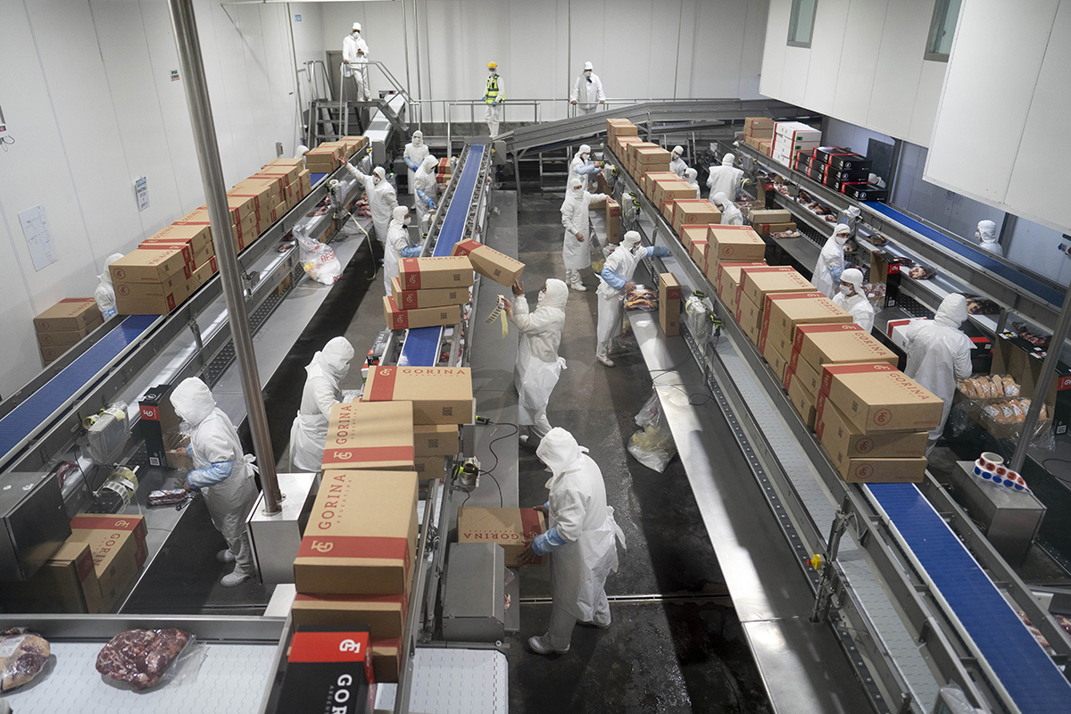 La economía cayó un 3,7% en noviembre y ya suma 16 meses consecutivos de retroceso