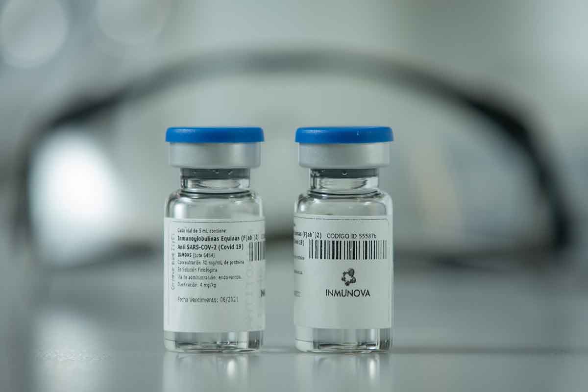 El Senado convirtió en ley el proyecto que declara de interés público la vacuna contra el covid