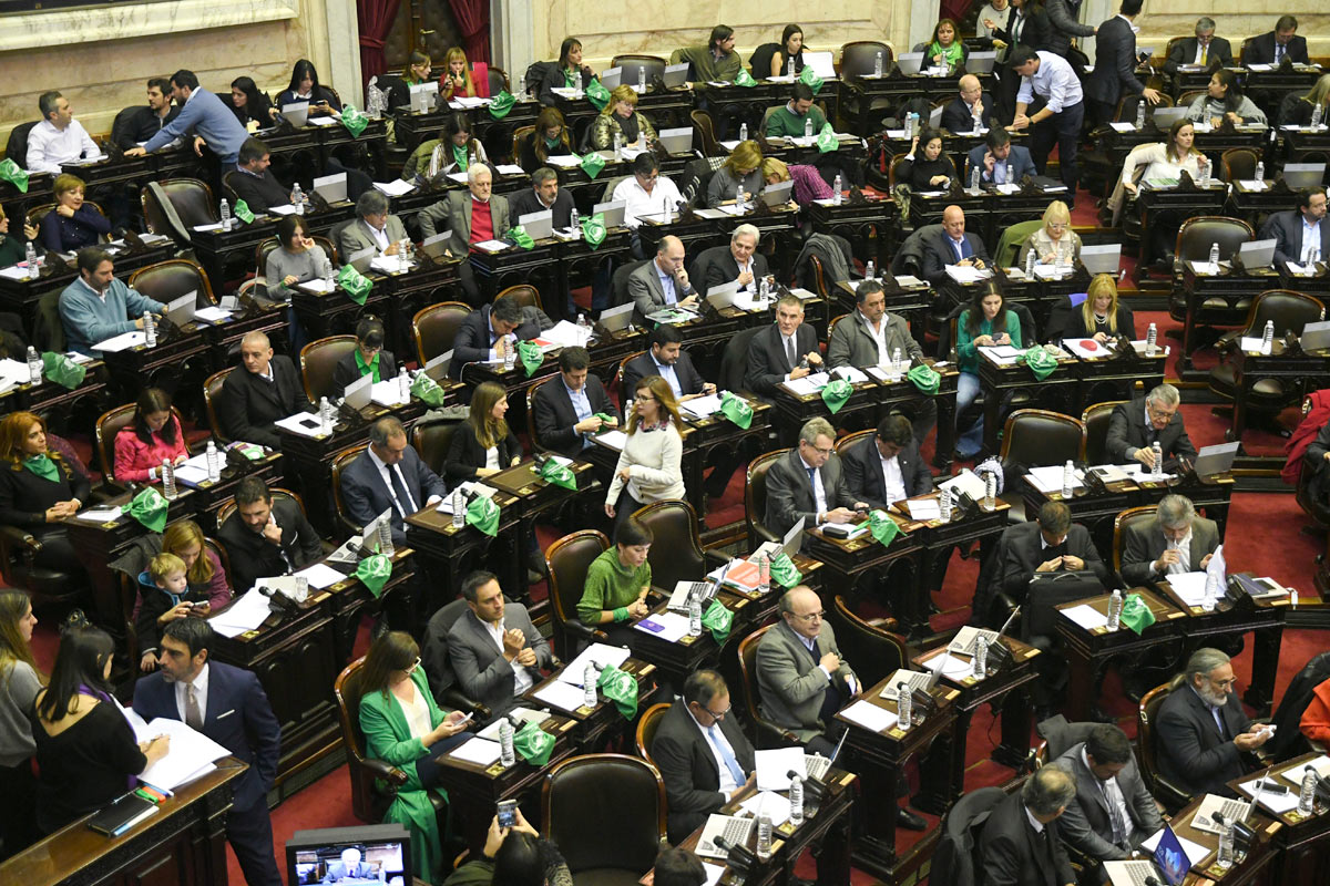 Diputados comenzará el debate en comisiones por el proyecto del aborto legal