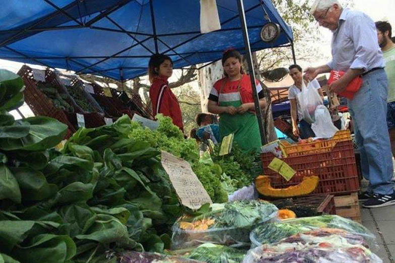 Campo dividido: pequeños productores agrarios instalaron una feria frente a la Sociedad Rural