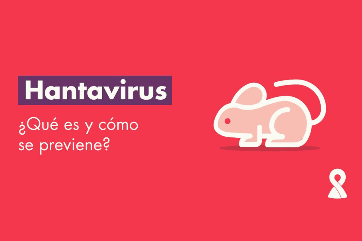¿Qué es y cómo se contagia el hantavirus?