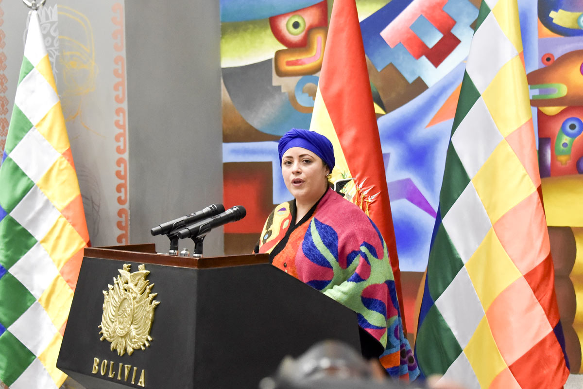 Bolivia: tres ministerios claves para Luis Arce