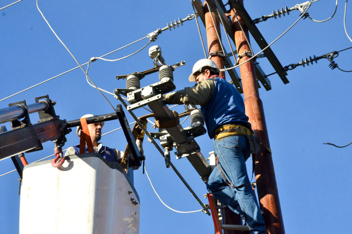 Vidal autorizó aumentos en la luz de hasta el 67% para compensar a las productoras