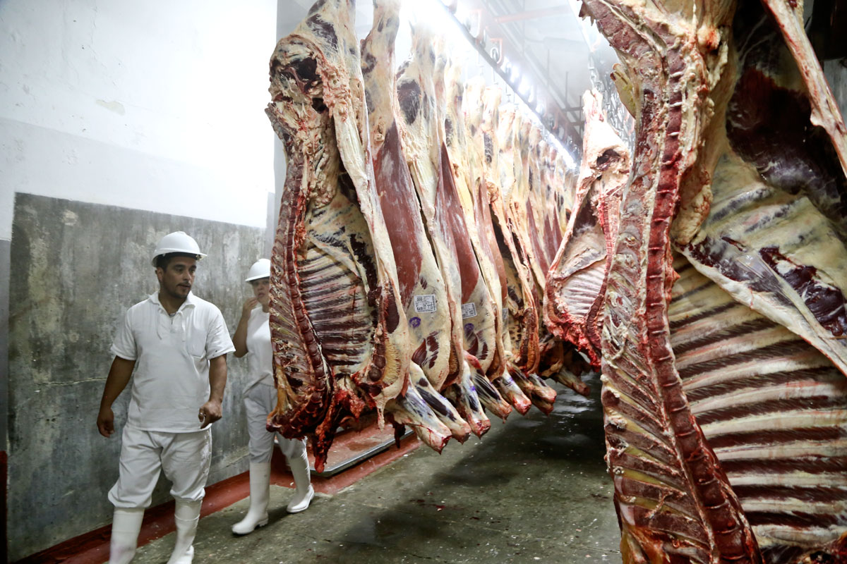Agricultura suspendió la operación de 12 empresas exportadoras de carne