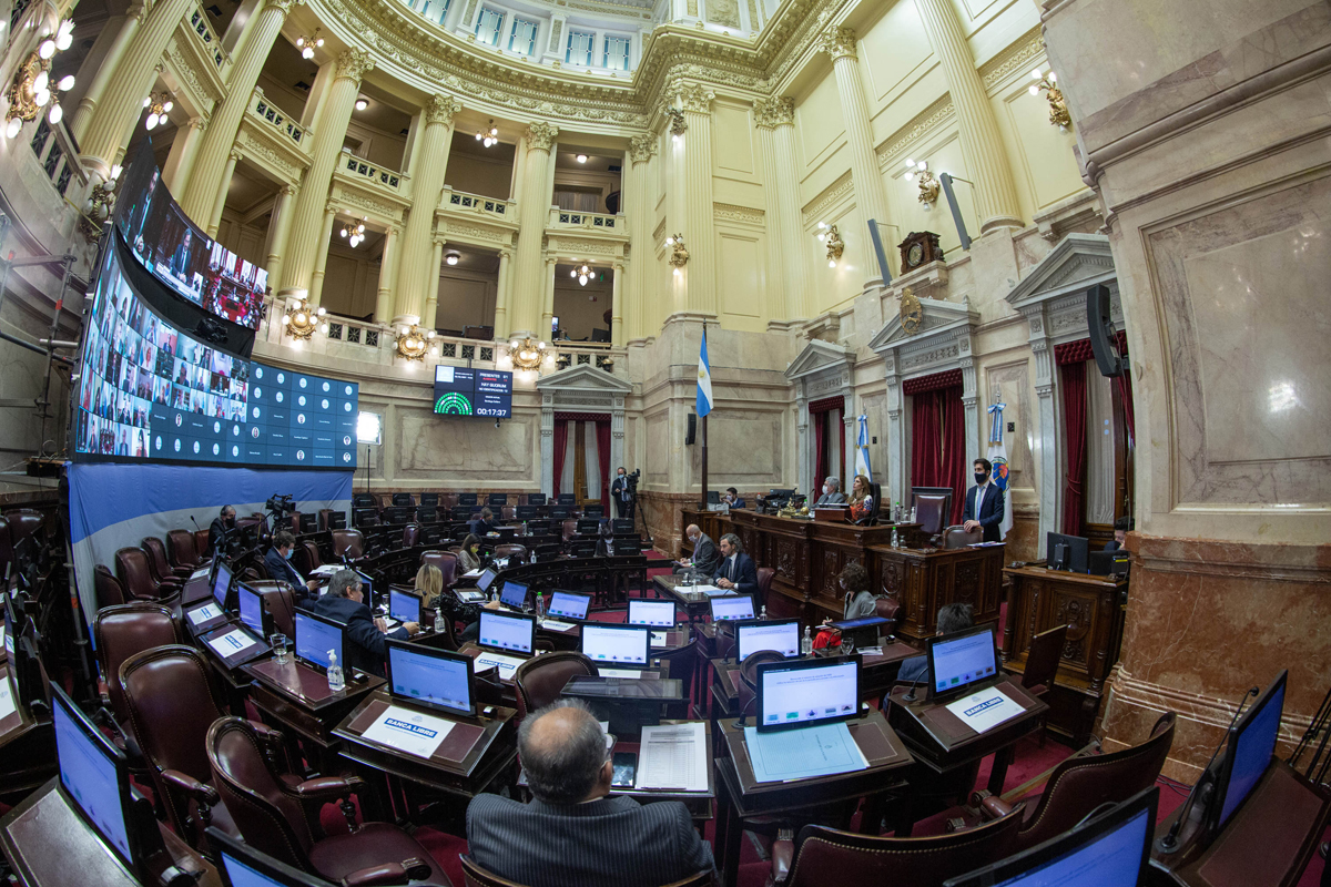 El aval del Senado al decreto que modificó la ley sobre compra de vacunas ya es oficial
