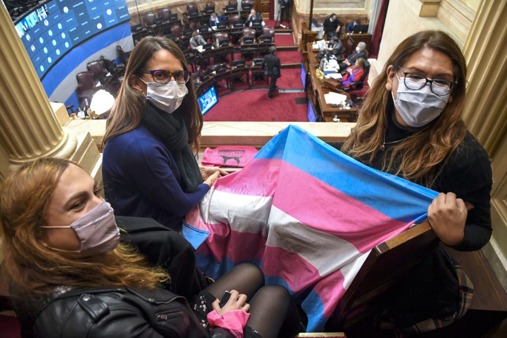 El cupo laboral travesti trans es ley en la Argentina 2 El cupo laboral travesti trans es ley en la Argentina